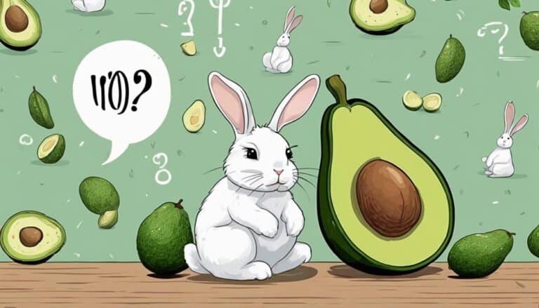 avocado safe for bunnies