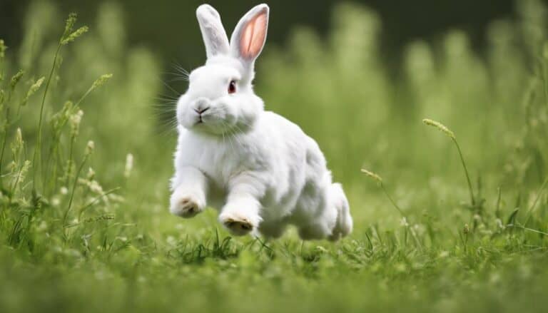 bunnies and running question