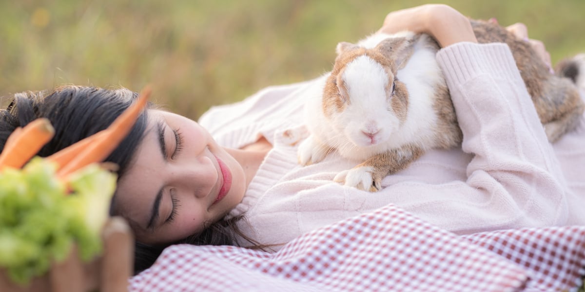 A woman laying on a blanket with a rabbit.
