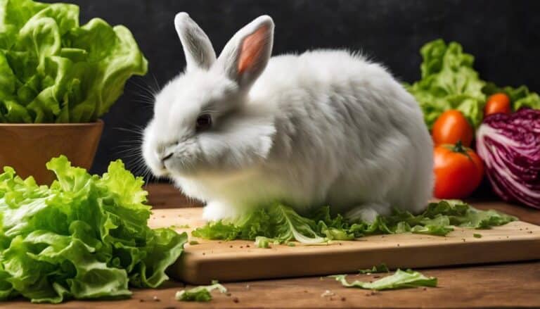 bunny diet and lettuce