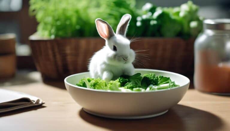 importance of water for bunnies