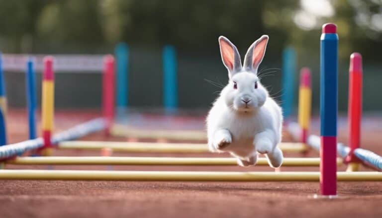 rabbit care and training