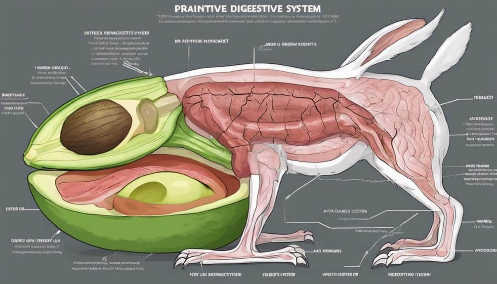 unique digestive systems discussed