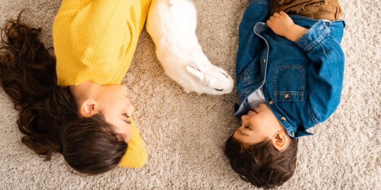 A woman and a young boy lying on a carpet, smiling at each other with a white rabbit between them.
