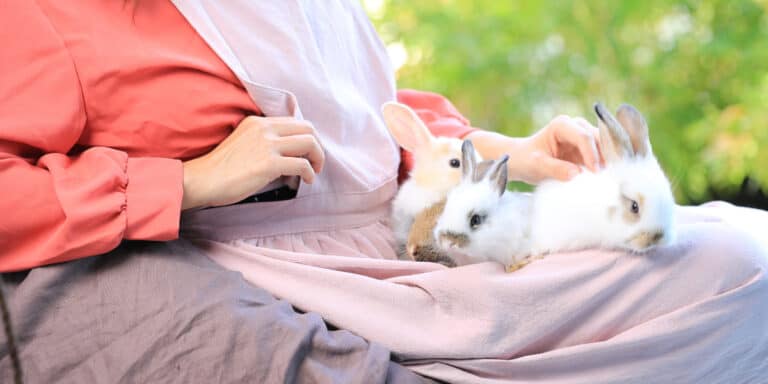 A person seated outdoors holding three small rabbits on their lap, surrounded by green foliage.