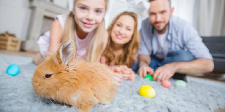 A family with a child and a fluffy brown rabbit, focusing on the rabbit in the foreground with colorful easter eggs nearby.