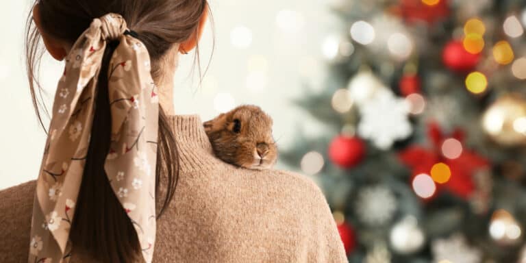 A woman with a small brown rabbit on her shoulder, with a blurred christmas tree in the background.