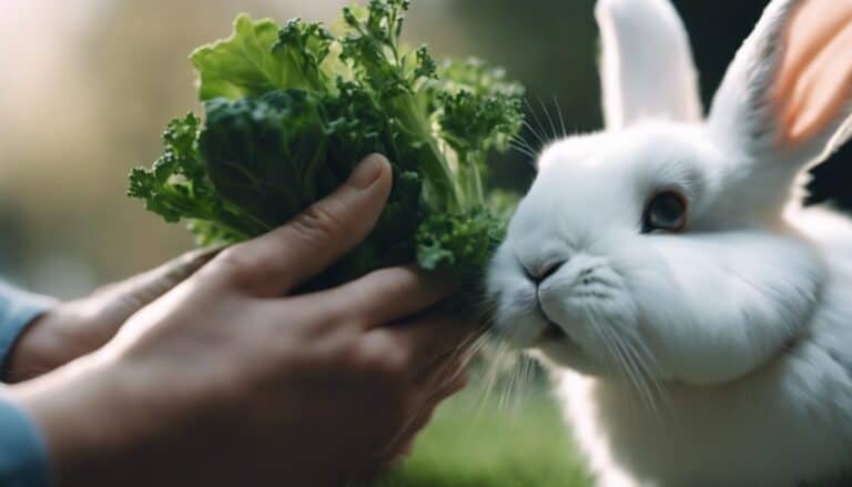 gentle handling and interaction