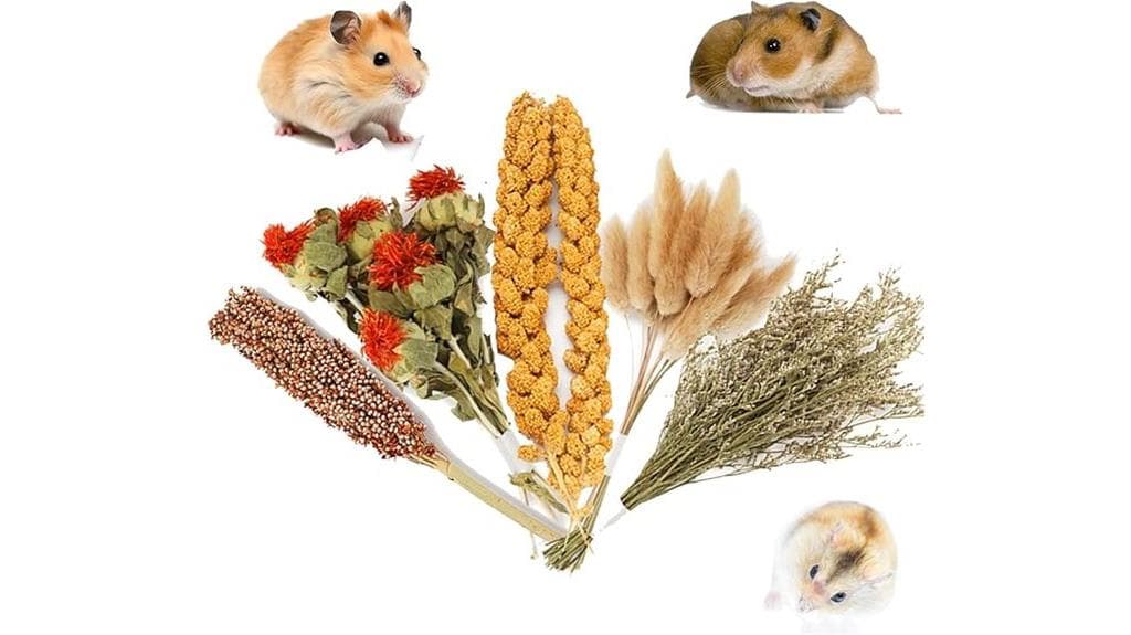 natural bedding for hamsters