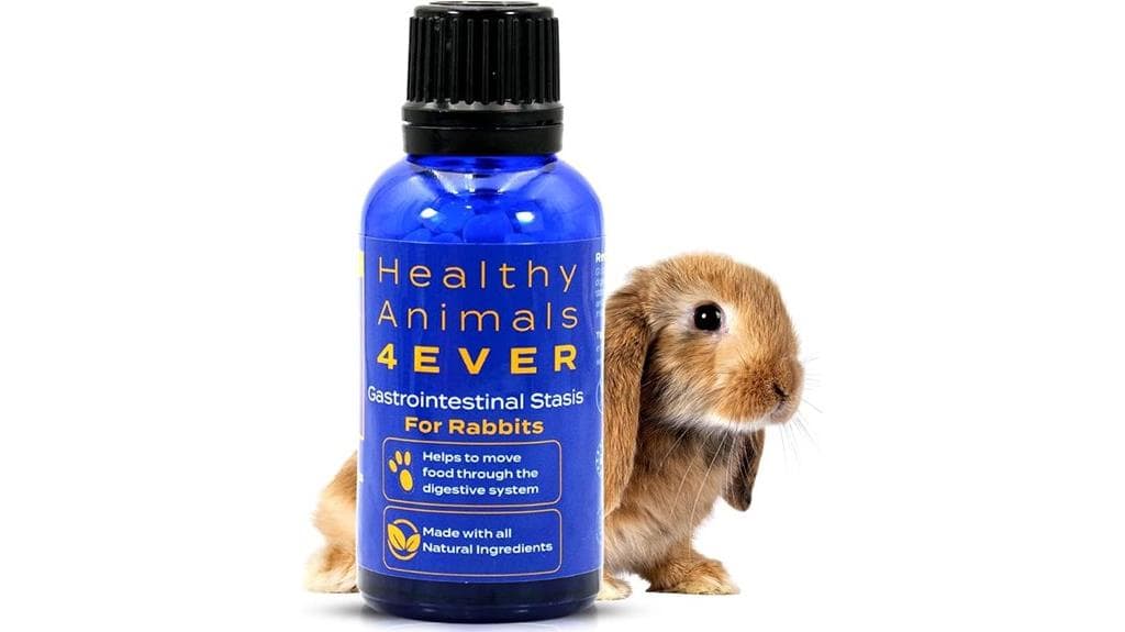 rabbit gastrointestinal stasis treatment
