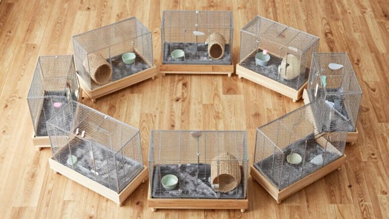 top indoor rabbit enclosures