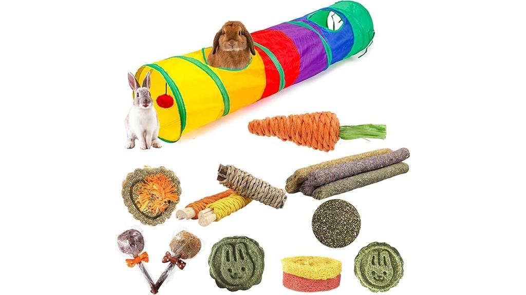 bunny tunnels for pets